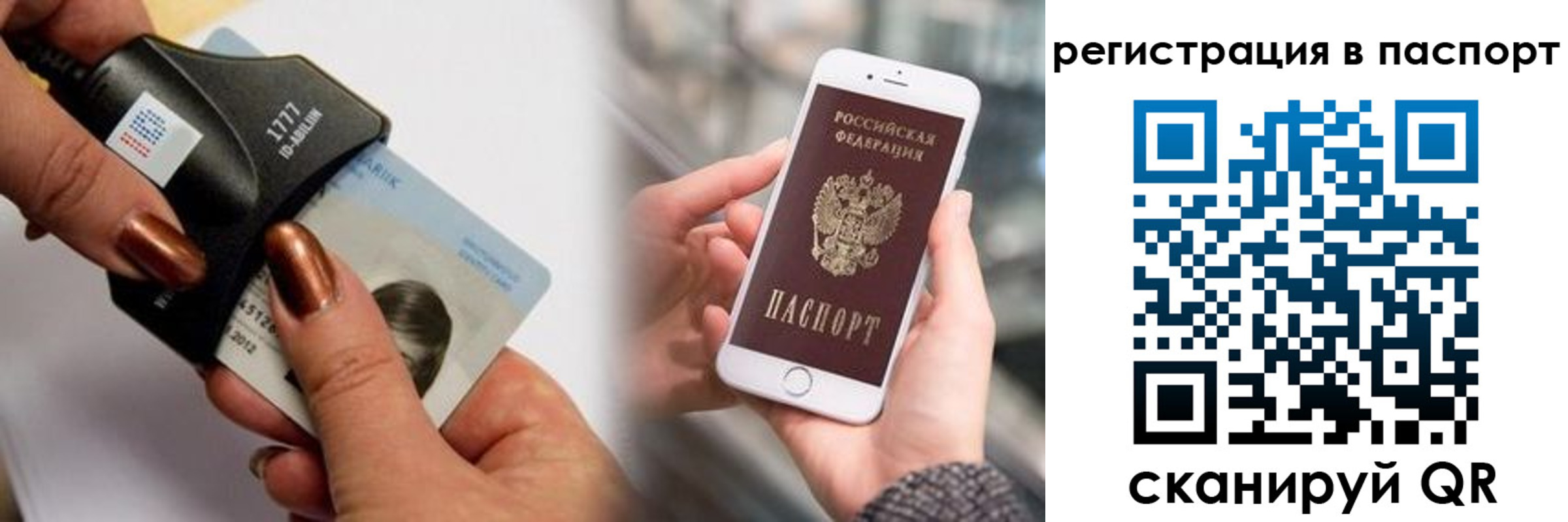 найти адрес прописки в Каргополе